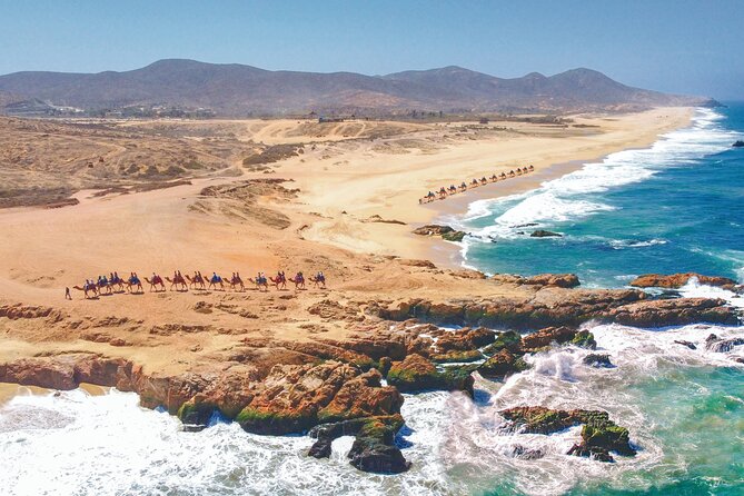 Combo 4x4 Automatic ATV and Camel Ride Tour in Cabo San Lucas - One hour with the camels