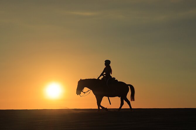 Combo 4X4 Automatic ATV & Horseback Riding in Cabo - Tequila tasting, buffet, and the value of $175