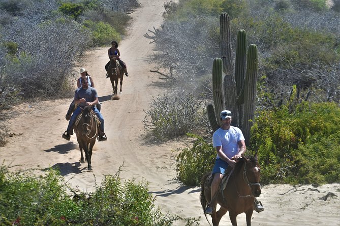 Combo Double Utv + Horses - The scenery is the payoff, not speed