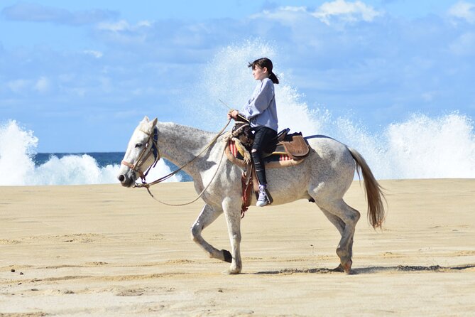 Combo Double Utv + Horses - Who will enjoy this most
