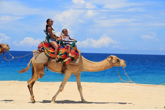 Combo Horseback Ride and Sky Bike in Cabo - Is $125 a fair price?