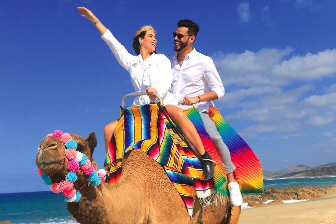 Combo Horseback Ride and Sky Bike in Cabo - Who should book this Cabo outing?
