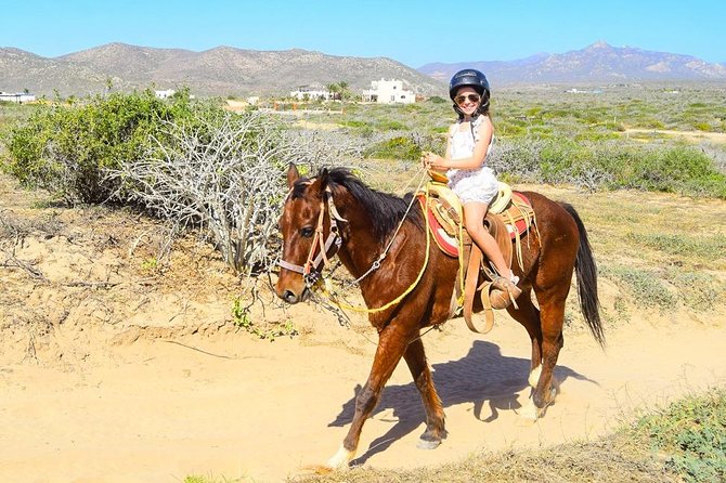 COMBO Horseback Riding & UTV Tour - Who will get the most from this outing