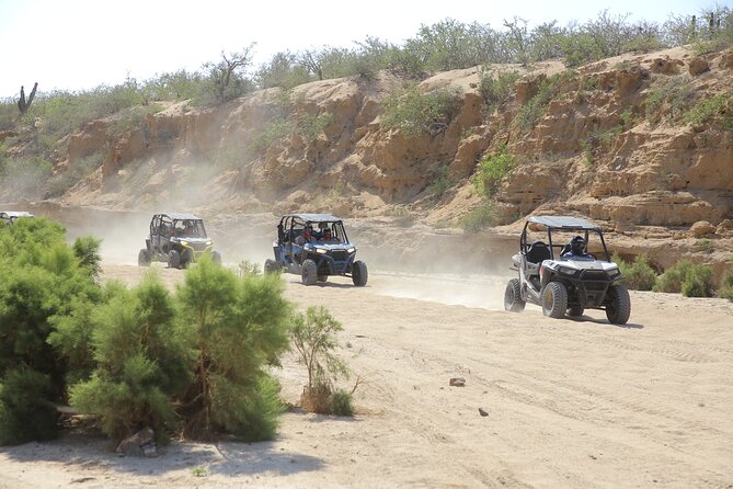 Combo Off Road 4x4 UTV Camel Ride Lunch and Tequila Tasting - Key points to know before you book