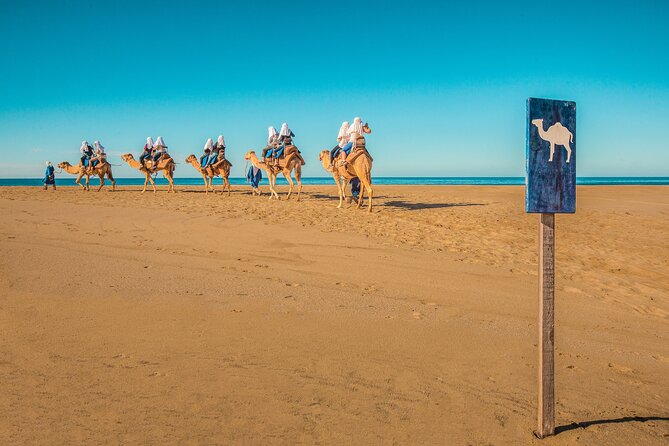 Combo Off Road 4x4 UTV Camel Ride Lunch and Tequila Tasting - Lunch at the oceanfront restaurant