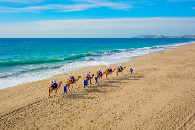 Combo Off Road 4x4 UTV Camel Ride Lunch and Tequila Tasting - Useful booking and day-of advice