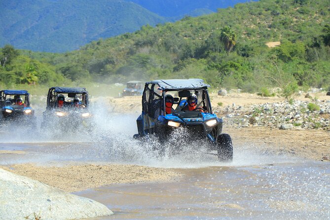Combo Off Road 4x4 UTV Camel Ride Lunch and Tequila Tasting - Driving a 4x4 UTV through the desert
