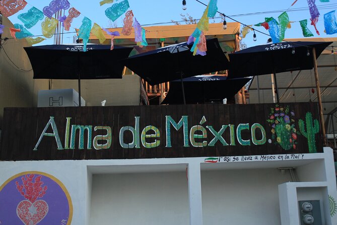 Culinary Experience +Tequila & drinks tasting by Alma de mexico - Who should book this experience