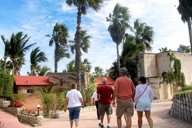 Cultural & Ecology, Nature & History of the hidden towns of Southern Baja! - Los Barriles, lunch, and the freshwater oasis