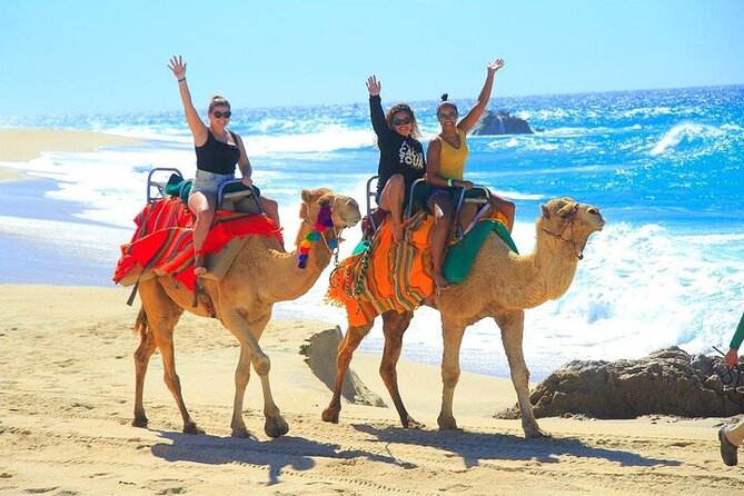 Day Pass Adventure in Los Cabos with Roundtrip Transport - Dune buggies and ATVs for the fast-paced hour