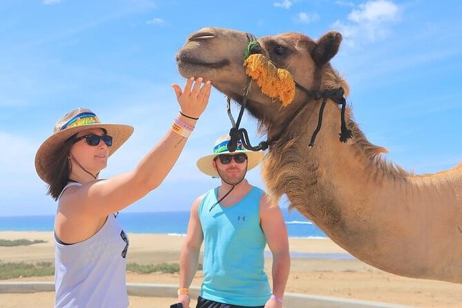 Day Pass Adventure in Los Cabos with Roundtrip Transport - The camel ride along the beach