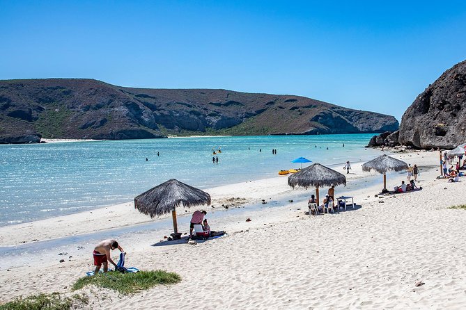 Day Trip to La Paz & Balandra Beach from Cabo San Lucas - Why the long ride to La Paz can be worth it