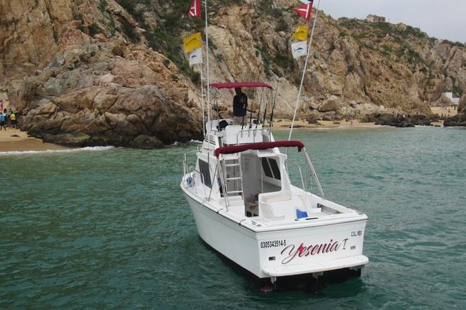 Deep Sea Fishing for 5 Hours from Cabo San Lucas - Wildlife adds value even on a slow fishing day