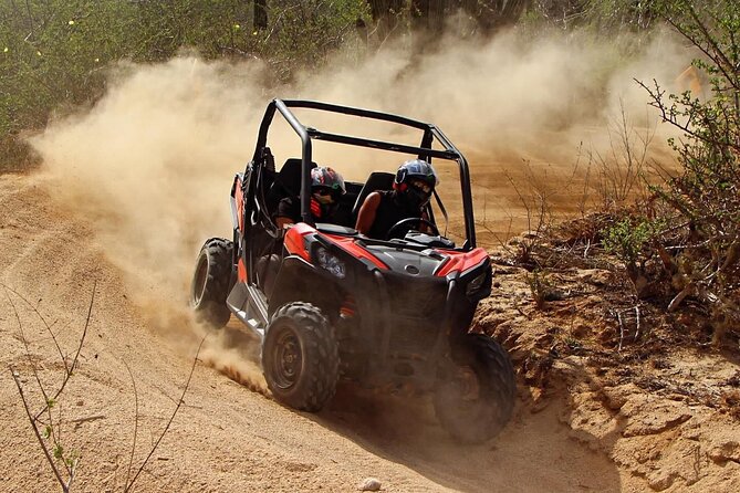 Desert and Beach Buggies Tour - Age rules and who should book