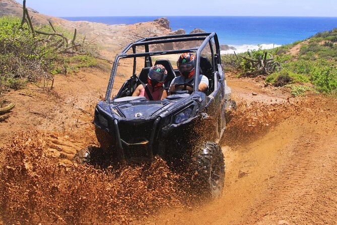 Desert and Beach Buggies Tour - Timing, weather, and booking risk