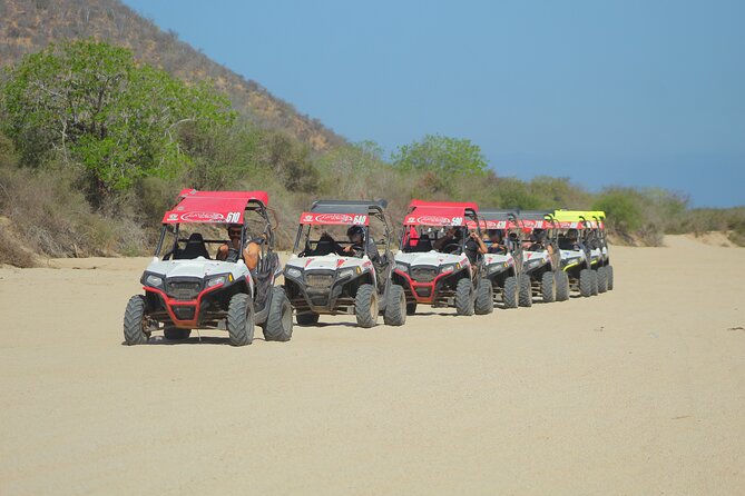 Desert and Beach UTV Adventure with Tequila Tasting - Key details to know before you book