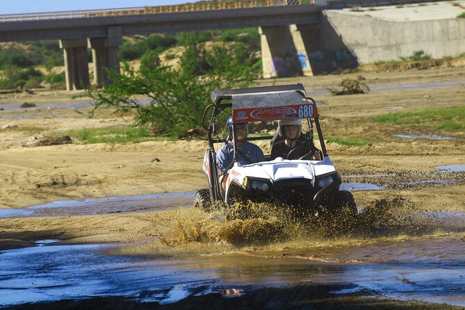 Desert and Beach UTV Adventure with Tequila Tasting - From Cabo to Baja’s open desert