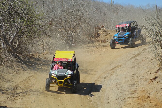 Desert and Beach UTV Adventure with Tequila Tasting - The desert’s older, slower side