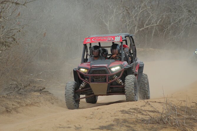 Desert and Beach UTV Adventure with Tequila Tasting - Hotel pickup and the day’s practical rhythm