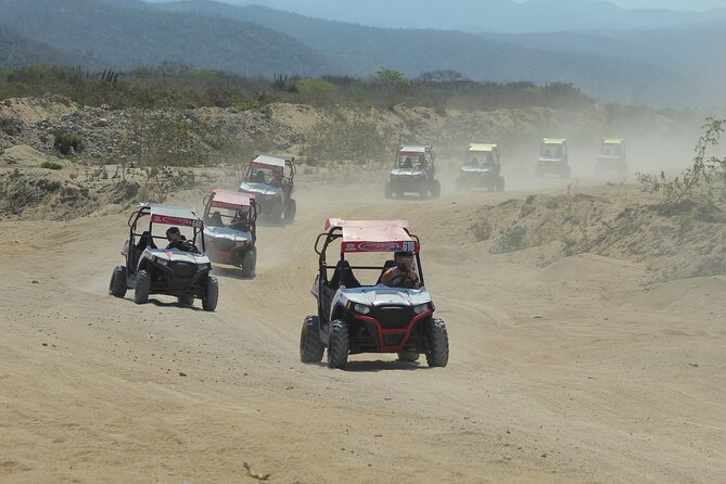 Desert and Beach UTV Adventure with Tequila Tasting - Who will get the most from this outing