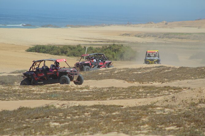 Desert and Beach UTV Adventure with Tequila Tasting - Weather, cancellation, and what to pack