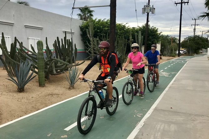 Desert Mountain Biking, fun and easy. - Key Points