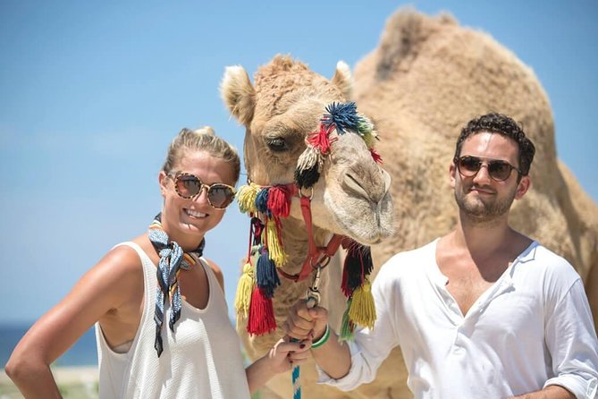 Desert & sea, Camel Safari tour in Los Cabos with lunch - Key points at a glance