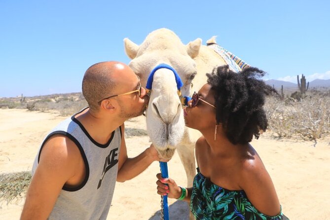 Desert & sea, Camel Safari tour in Los Cabos with lunch - Tequila, mezcal, and Damiana after lunch