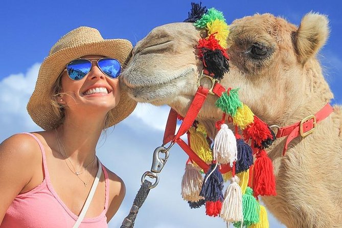 Desert & sea, Camel Safari tour in Los Cabos with lunch - A short tropical walk before the return trip
