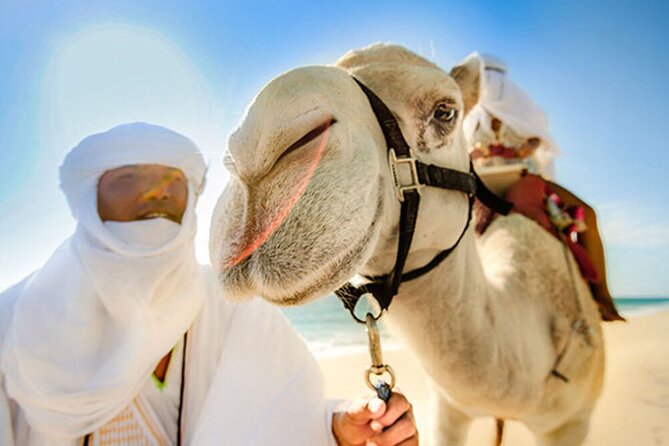 Desert & sea, Camel Safari tour in Los Cabos with lunch - Is the $133 price good value?