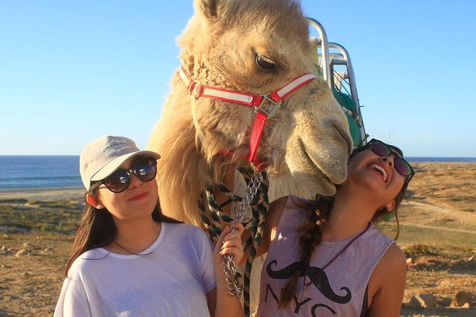 Desert & sea, Camel Safari tour in Los Cabos with lunch - Meeting your camel and riding the Baja coast