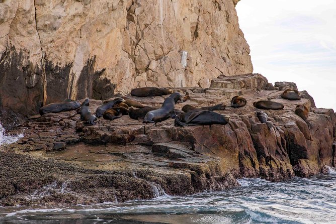 Dinner Cruise Tour in Cabo San Lucas with Tequila Tasting - Sunset dinner, open bar, and the party atmosphere
