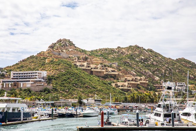 Dinner Cruise Tour in Cabo San Lucas with Tequila Tasting - Timing, weather, and cruise-ship planning