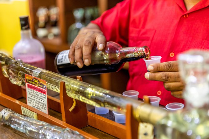 Dinner Cruise Tour in Cabo San Lucas with Tequila Tasting - Who will enjoy this Cabo dinner cruise?