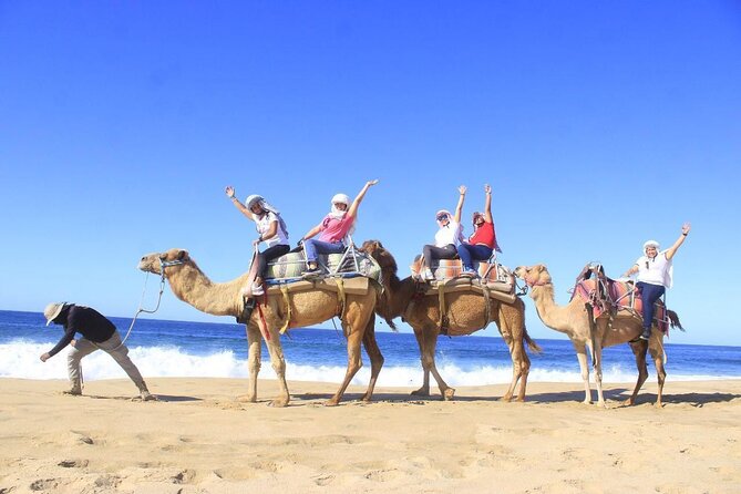 Discover Cabo San Lucas by camel ride - Key points at a glance