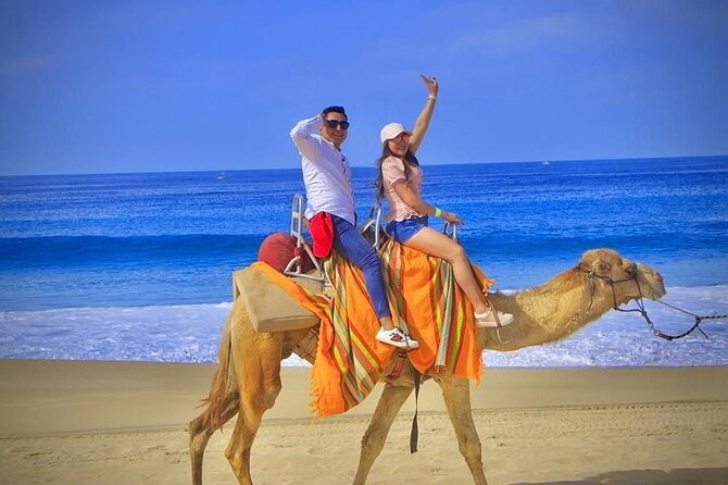 Discover Cabo San Lucas by camel ride - From hotel lobby to the park