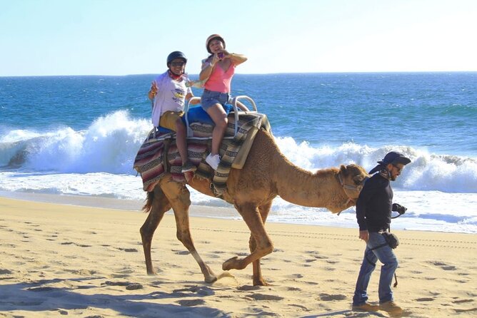 Discover Cabo San Lucas by camel ride - Riding through Playa Migrino’s surroundings
