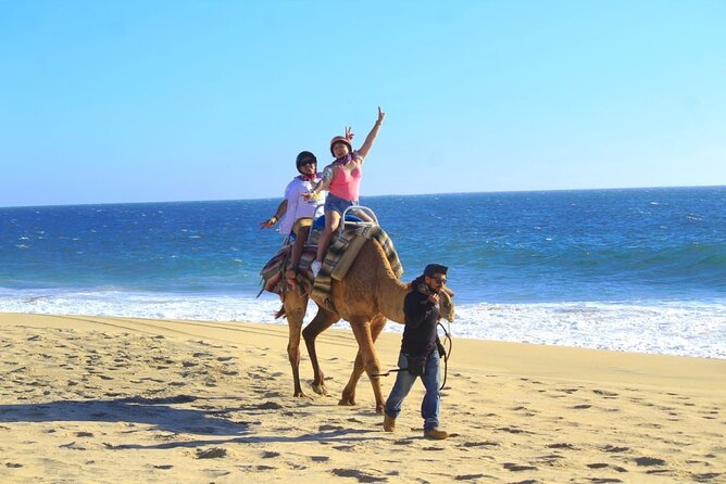 Discover Cabo San Lucas by camel ride - What the guide adds
