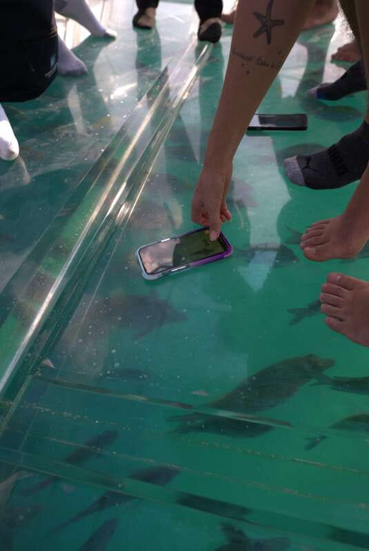 Discover Cabo San Lucas Clear Boat Glass Factory & Tequila - What this Cabo tour is really trying to do