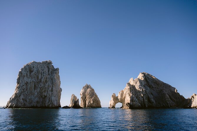 Educational Sunrise Whale Watching with Photos Included - Group size, timing, and overall value