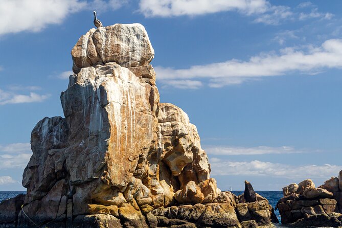 Experience the Clear Boat adventure & Cabo San Lucas City Tour - Who will enjoy this Cabo excursion most?