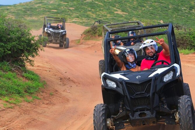 Extreme Razor Dune adventure and Tacos in Cabo San Lucas - Tacos, buffet food, and the fly problem