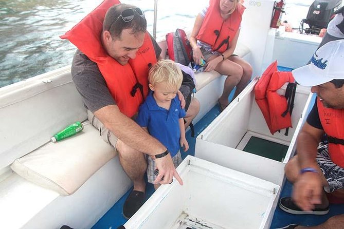 Famous Arch tour with Glass Bottom Boat. - A short ride with Cabo’s biggest views