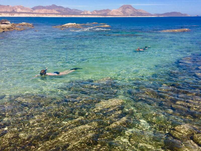 From Cabo: Cabo Pulmo Marine Park Snorkeling and Kayaking - Key things to know before booking