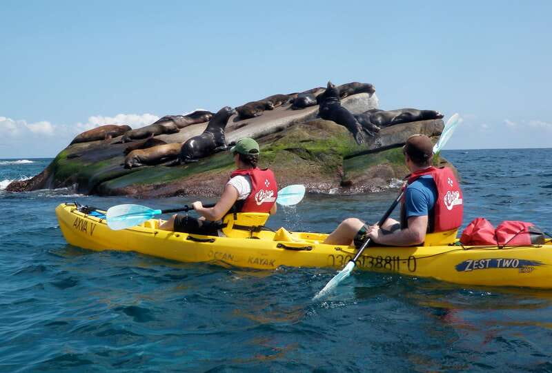 From Cabo: Cabo Pulmo Marine Park Snorkeling and Kayaking - Lunch in the small community of Cabo Pulmo