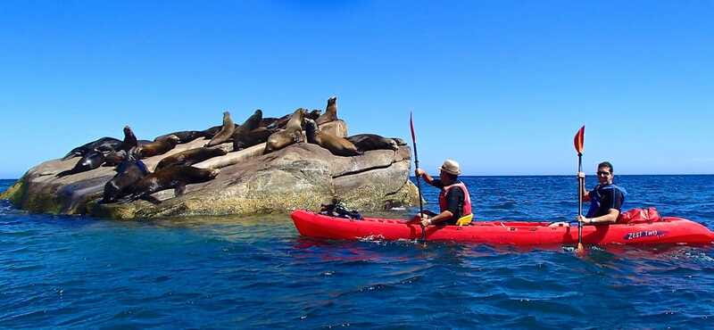 From Cabo: Cabo Pulmo Marine Park Snorkeling and Kayaking - Is the $230 price fair?