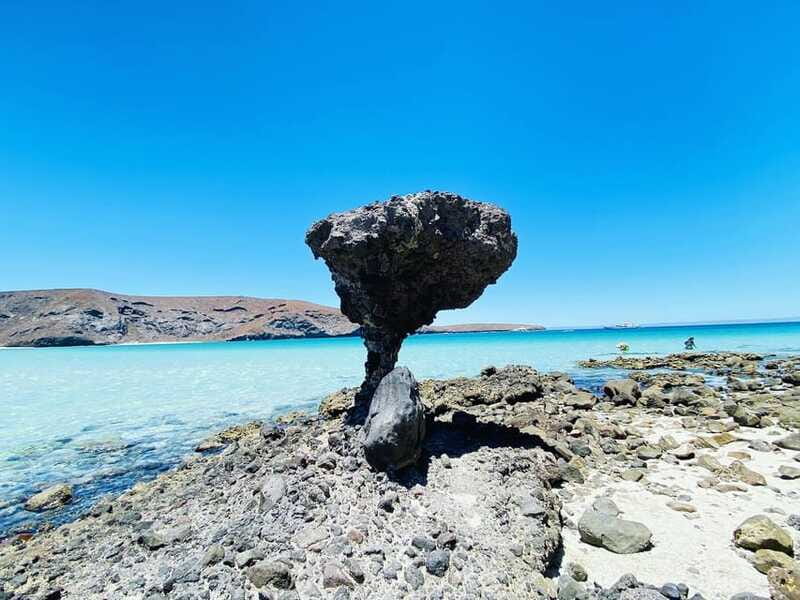 From Cabo/San José del Cabo: La Paz, Balandra & Todos Santos - What the guide can add to the day