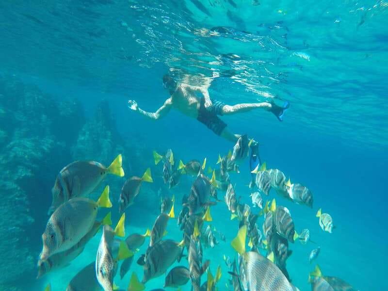 From Cabo San Lucas: Lovers Beach and El Arco Boat Trip - Key points to know before booking