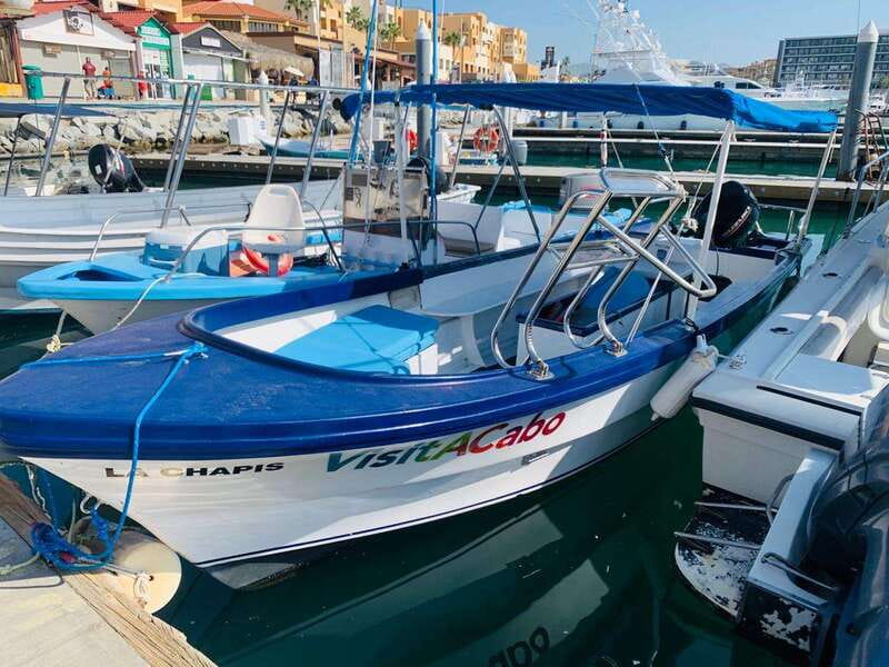 From Cabo San Lucas: Lovers Beach and El Arco Boat Trip - Boarding at Dock #2 in the Cabo marina