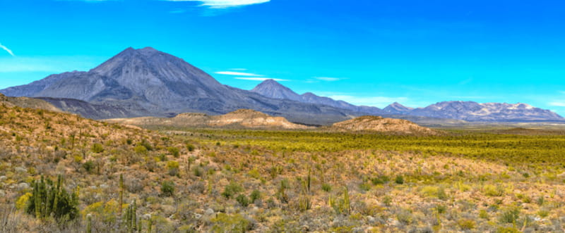 From Los Cabos: City Tour La Paz, Balandra and Todos Santos - The pre-dawn ride from Cabo